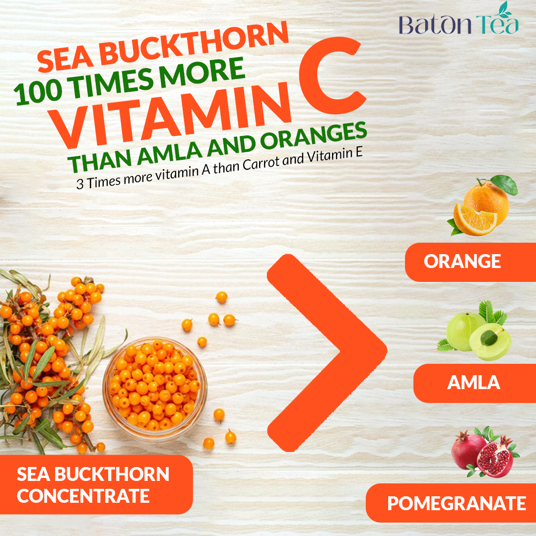 Sea Buckthorn Pulp - 250ml