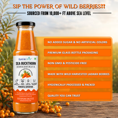 A bottle of Bation Life Sea Buckthorn Concentrate placed on a wooden surface with wild berry branches around it. The bottle is filled with bright orange liquid and has a black cap.