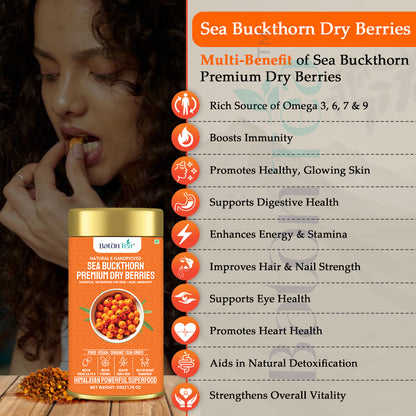 Baton Tea Himalayan Sea Buckthorn Dry Berries from Ladakh