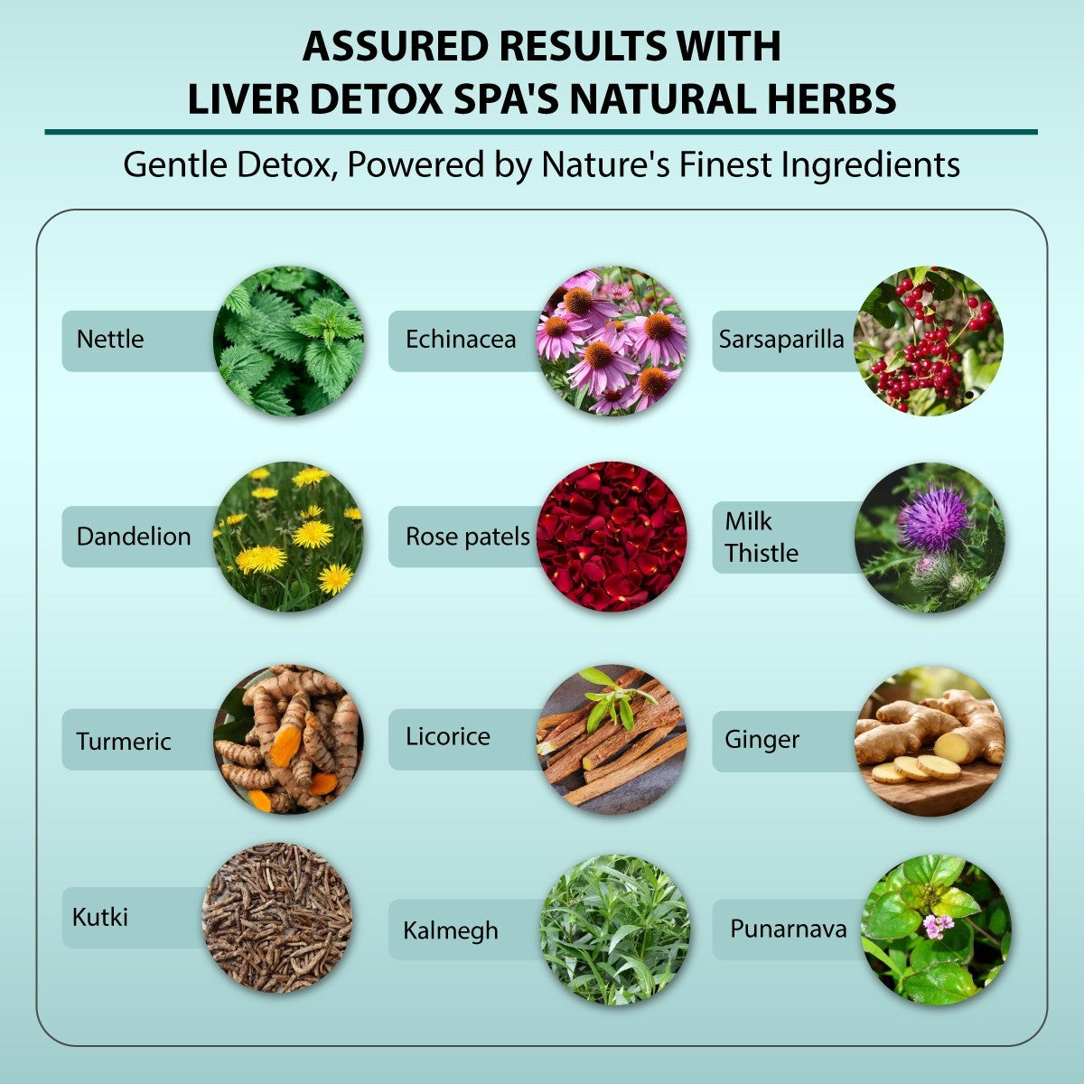 Natural herbs in Liver detox tea