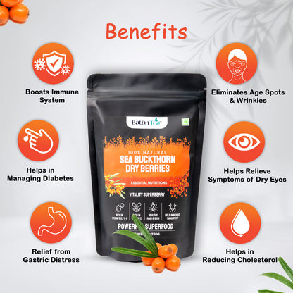 Buy Organic Dried Sea Buckthorn Berries Baton Tea