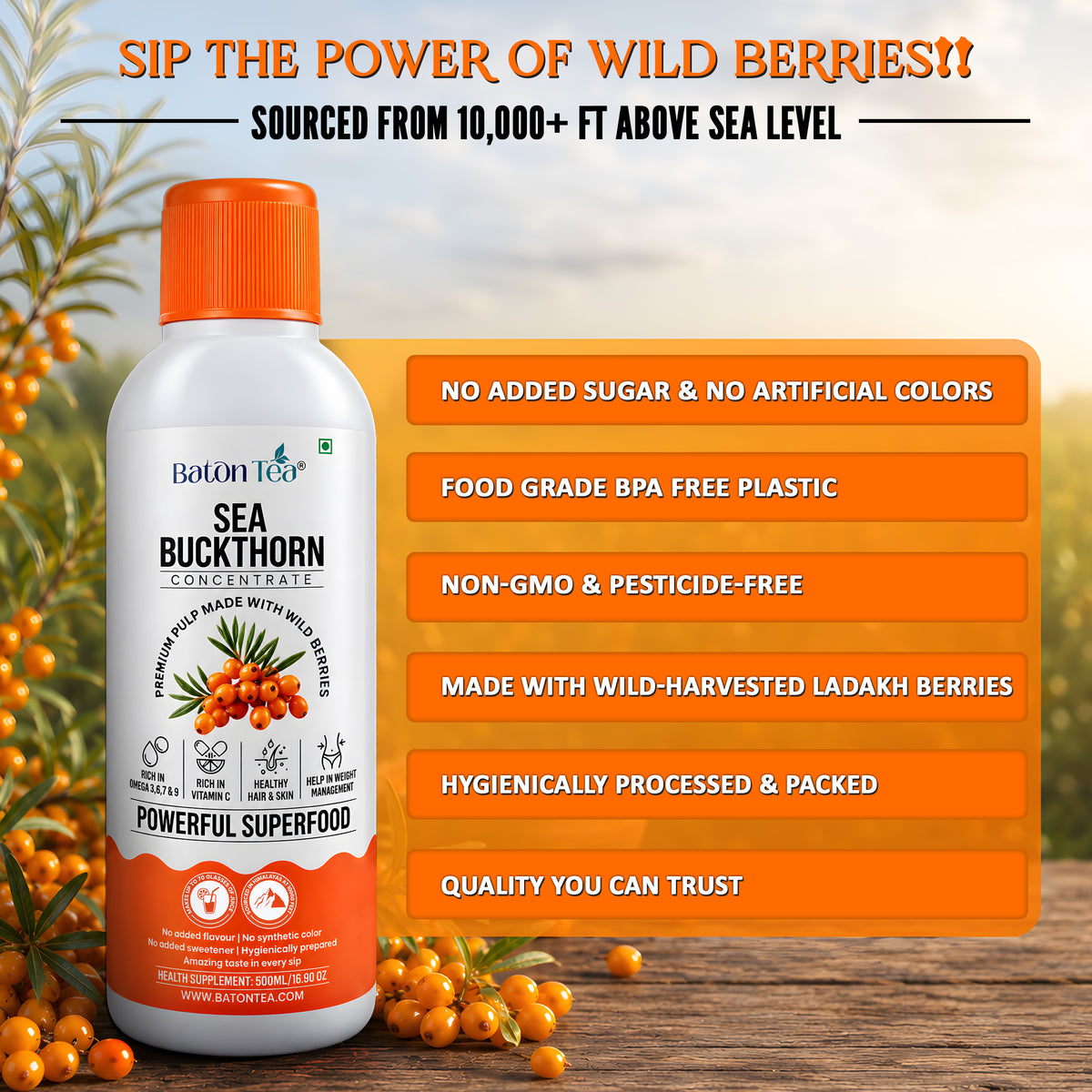 Baton Tea Sea Buckthorn Concentrate Plastic Bottle- Vitamin C Rich Superfood Juice | Natural Antioxidant Drink