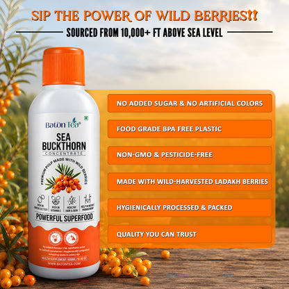 Baton Tea Sea Buckthorn Concentrate Plastic Bottle- Vitamin C Rich Superfood Juice | Natural Antioxidant Drink