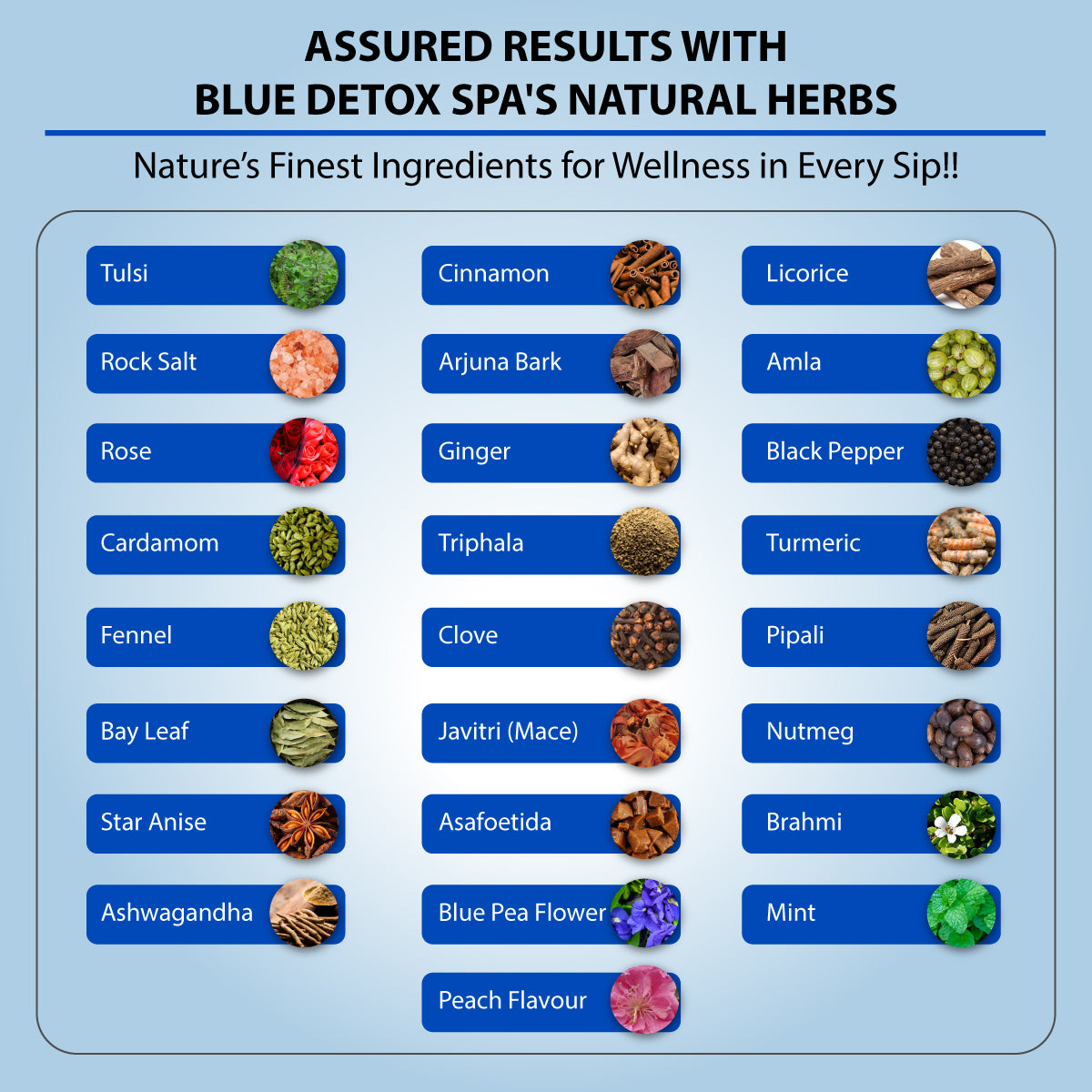 Blue Detox Tea Ingredients