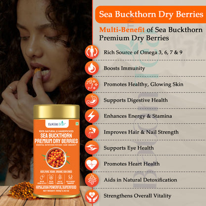 Sea Buckthorn Dry Berries | 100% Pure & Nutrient-Rich | 100GM