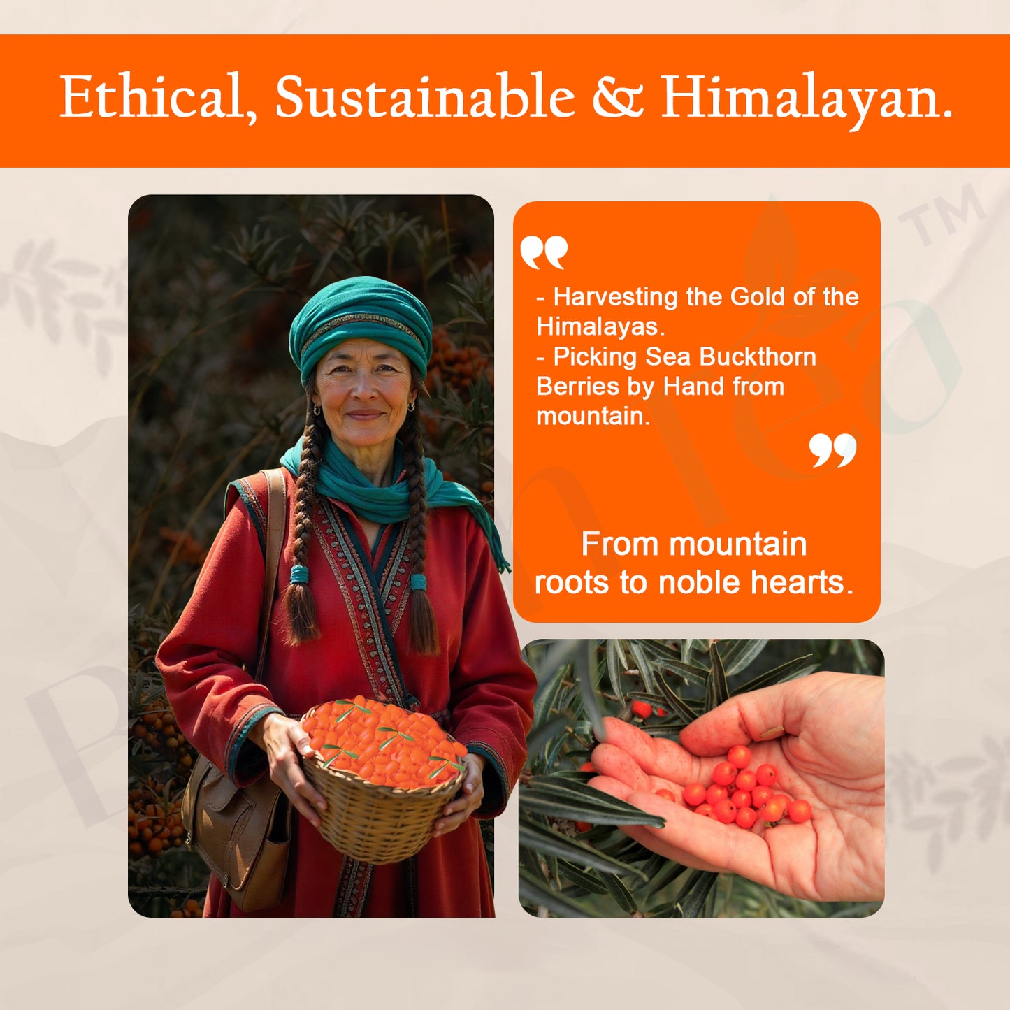 Sea Buckthorn Pulp Bottle – 100ml | 100% Pure, Organic & Nutrient-Rich