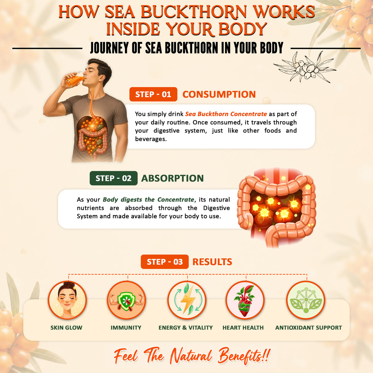 Baton Tea Sea Buckthorn Concentrate 300ml Glass Bottle- Vitamin C Rich Superfood Juice | Natural Antioxidant Drink