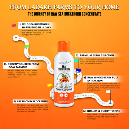 Baton Tea Sea Buckthorn Concentrate Plastic Bottle- Vitamin C Rich Superfood Juice | Natural Antioxidant Drink